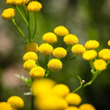 Moulin De -hotel De Charme 4* Conques