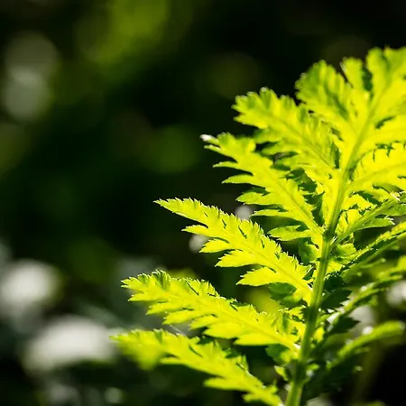 Moulin De -hotel De Charme Hotel 4*