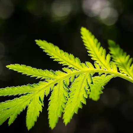 Moulin De -hotel De Charme Hotel