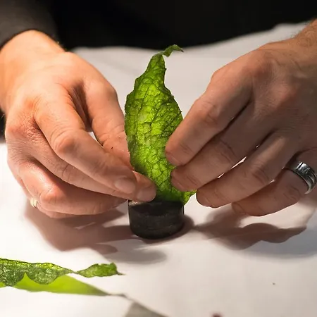 Hotel Moulin De -hotel De Charme Conques