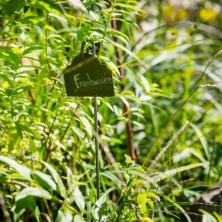Moulin De -hotel De Charme Conques