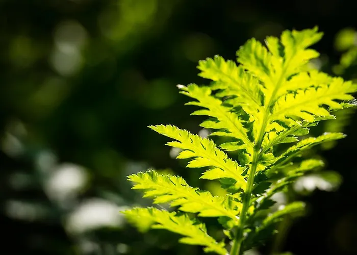 Moulin De -hotel De Charme Hotel 4*