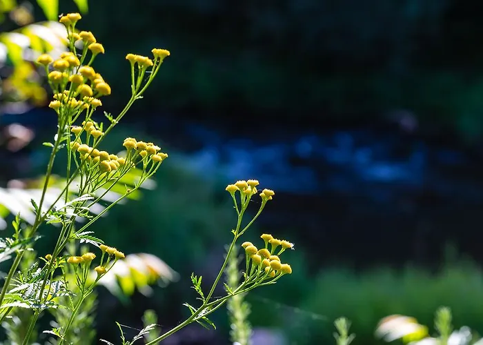 Hotel Moulin De -hotel De Charme 4*