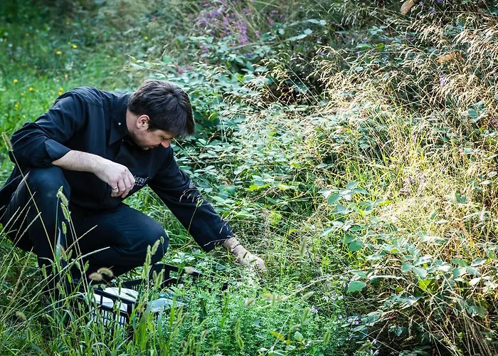 Moulin De -hotel De Charme Conques
