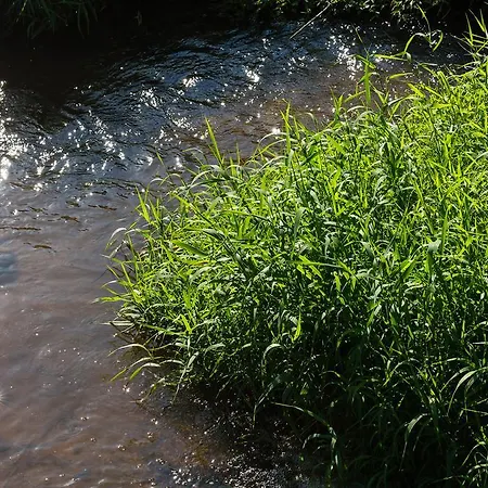 Hotel Moulin De -hotel De Charme 4*