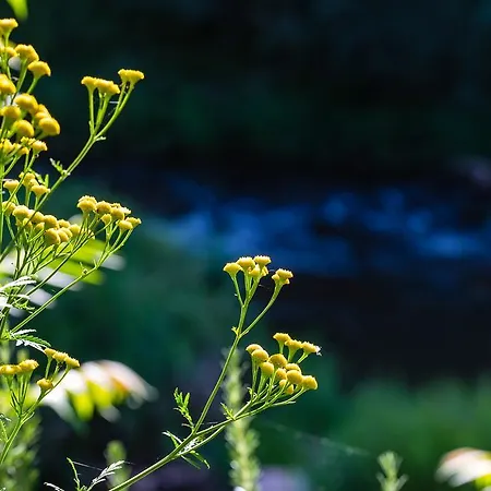 Hotel Moulin De -hotel De Charme 4*