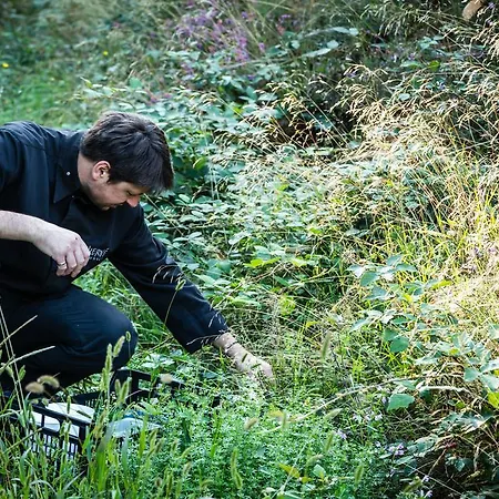 Moulin De -hotel De Charme Conques